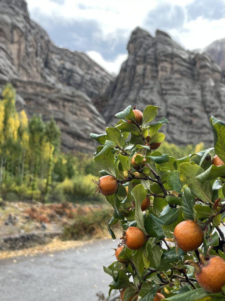 Alamut valley tours